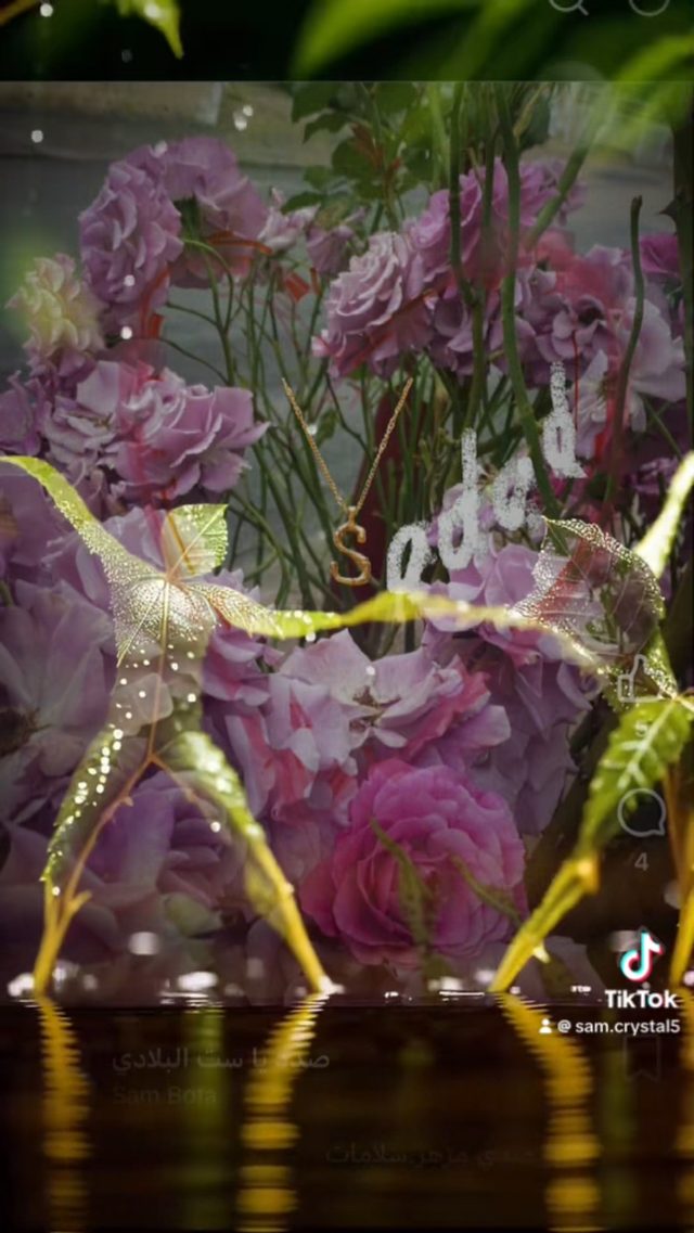 Image du clip : danseurs en feuilles sur les roses