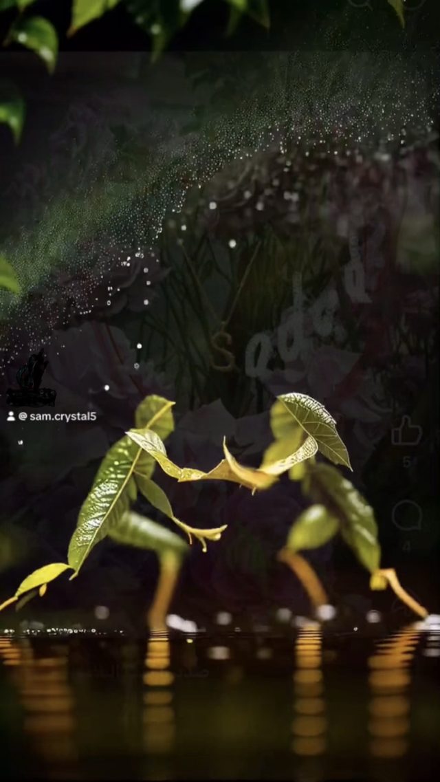 Image du clip : les deux danseurs en feuilles se rejoignent et leurs mains se touchent, sur fond de feuillage sombre et d’eau.
